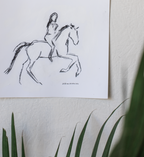 Dressage Queen