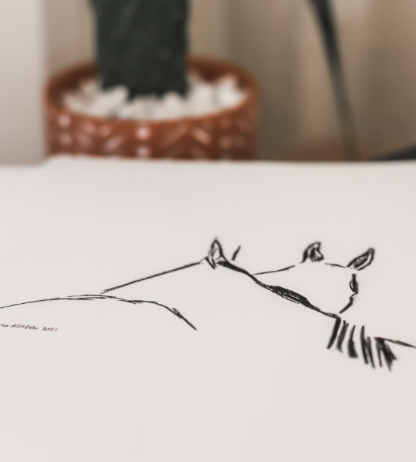 Pasture Pals