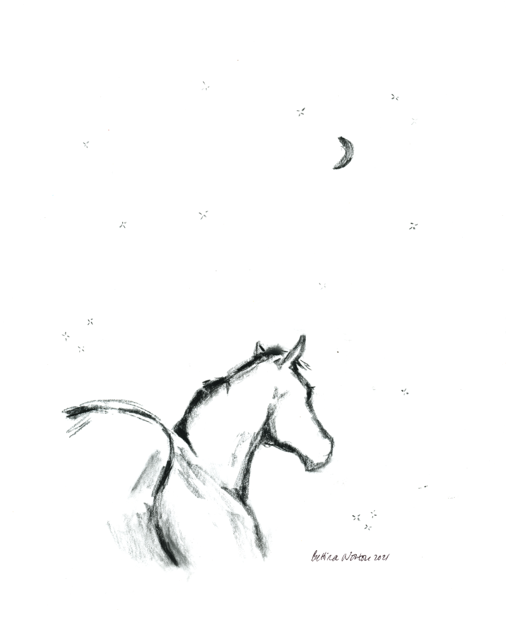 Snow Moon
