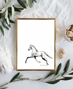 Standardbred