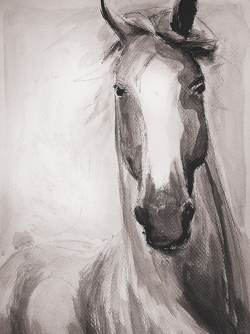 The Classic Horse | Wholesale Ready-to-Hang Canvas Prints