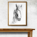 Beau - Bettina Norton Artwork