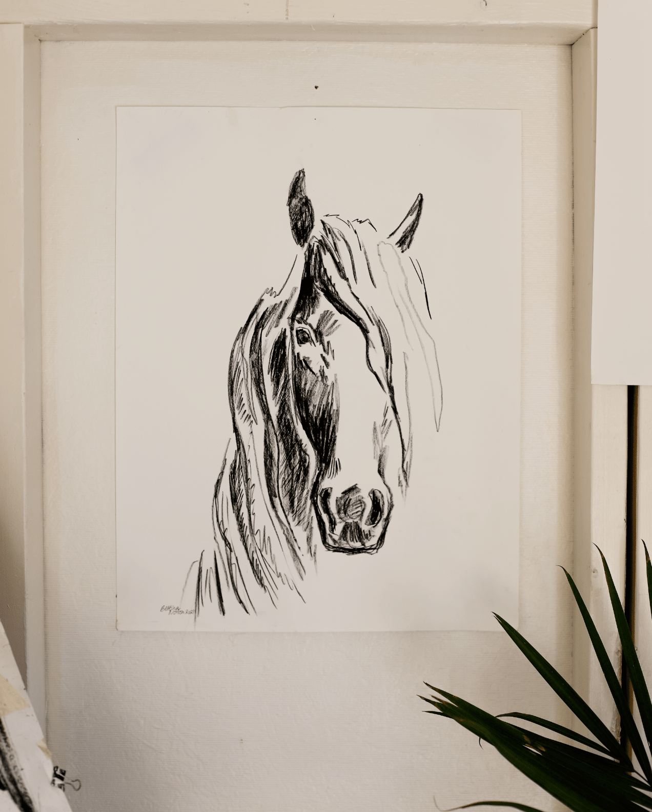 Beau - Bettina Norton Artwork