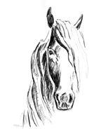 Beau - Bettina Norton Artwork