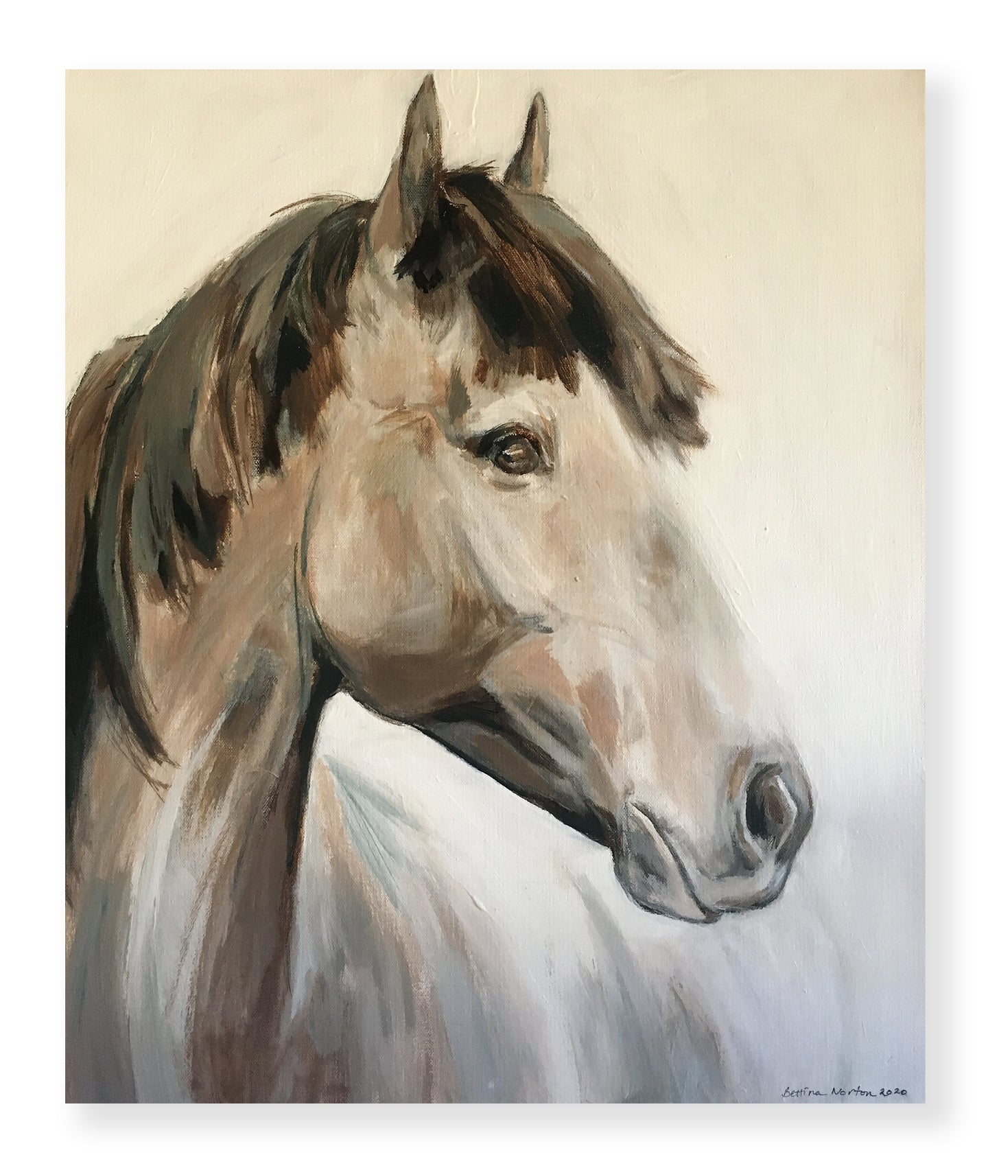 Biscuit - Bettina Norton Artwork