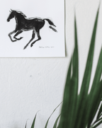 Black Horse - Bettina Norton Artwork