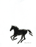 Black Horse - Bettina Norton Artwork