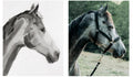 Comission your custom piece! - Bettina Norton Artwork