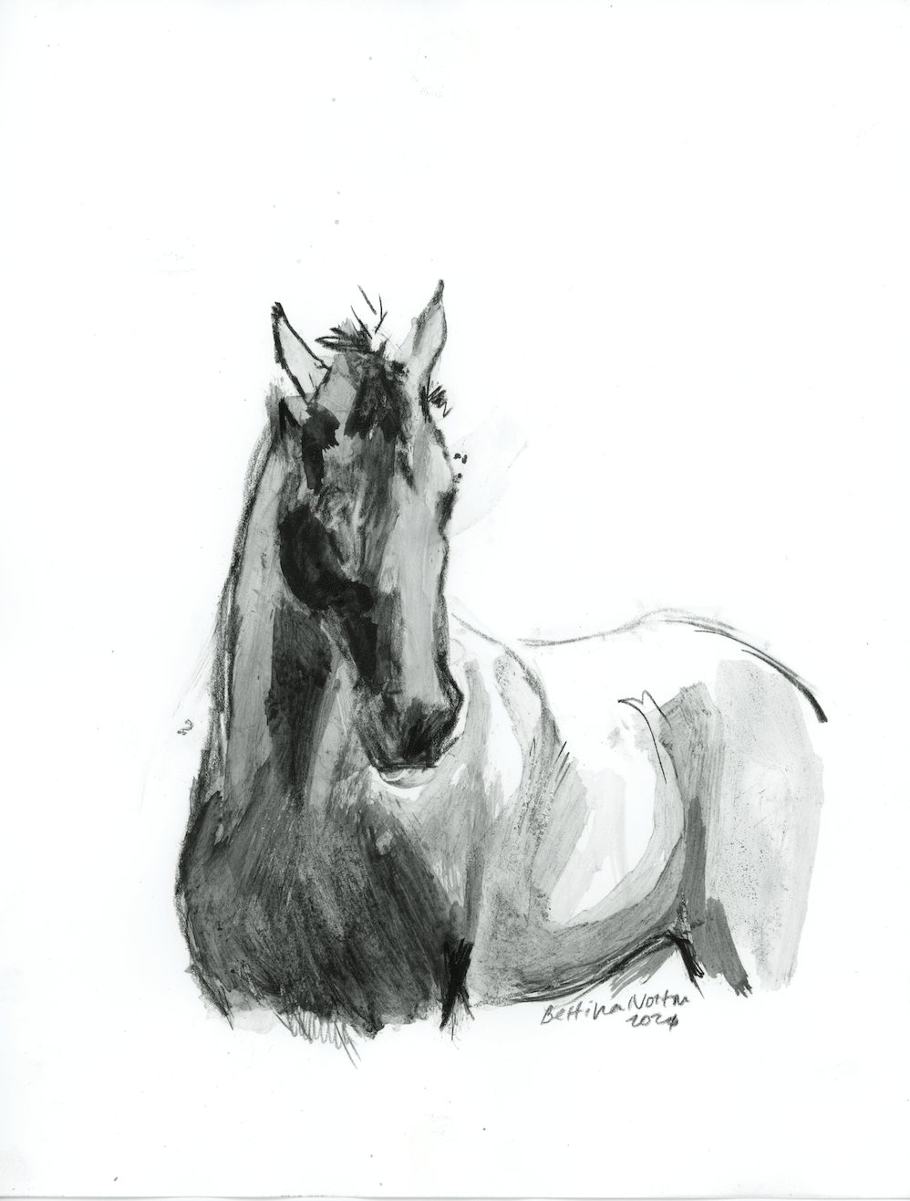 Confidence - Bettina Norton Artwork