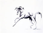 Dancer. - Bettina Norton Artwork