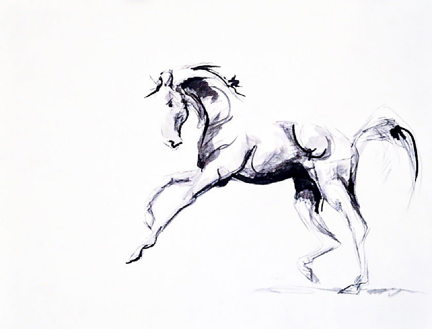 Dancer. - Bettina Norton Artwork