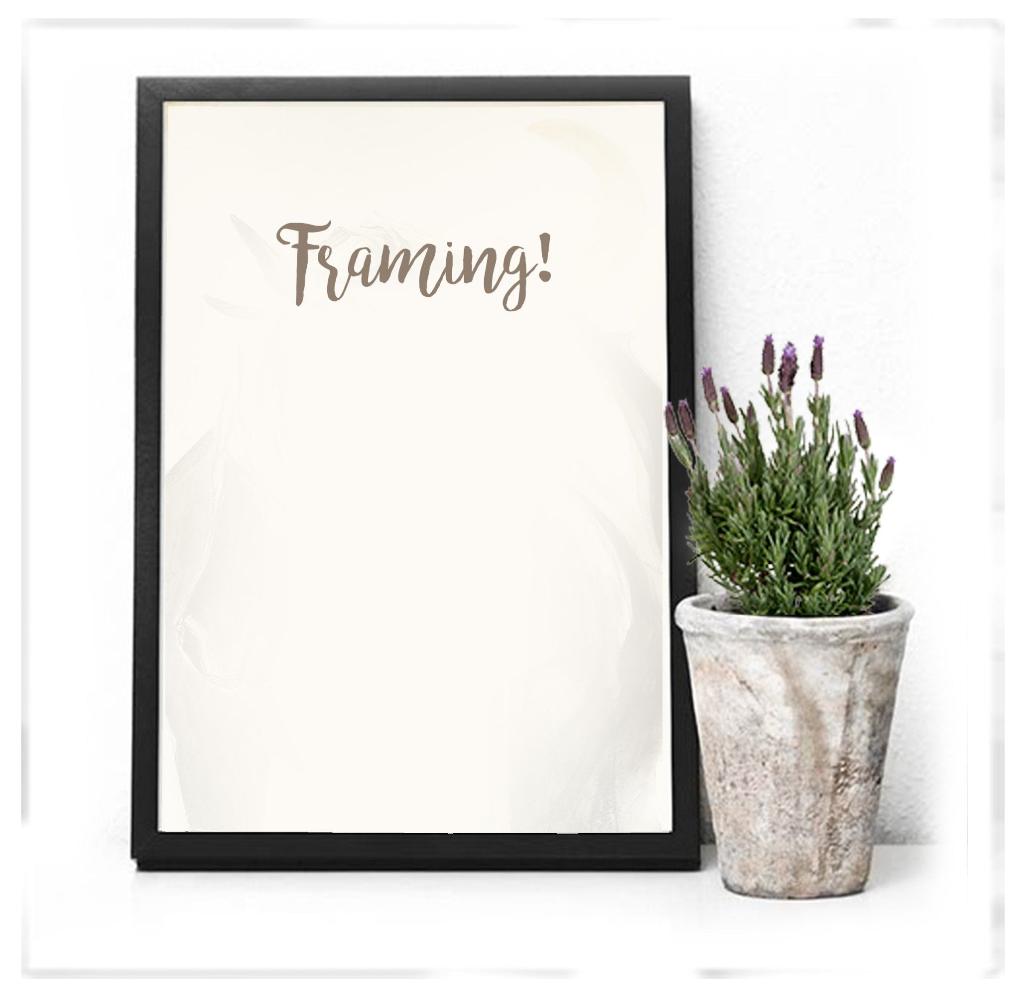 Framing - Bettina Norton Artwork
