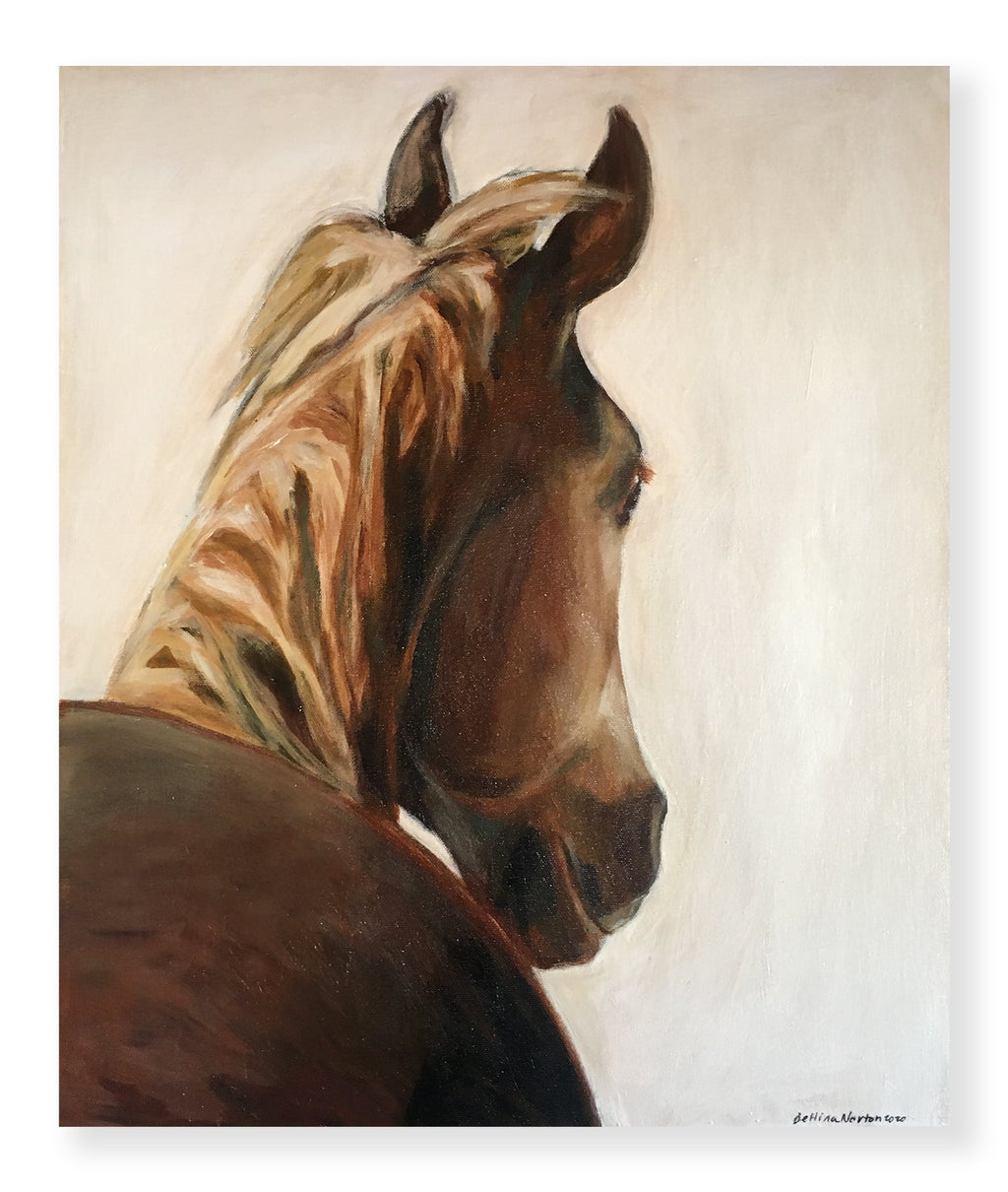 Frankie - Bettina Norton Artwork