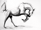 Free Spirit. - Bettina Norton Artwork