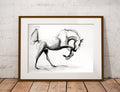 Free Spirit. - Bettina Norton Artwork