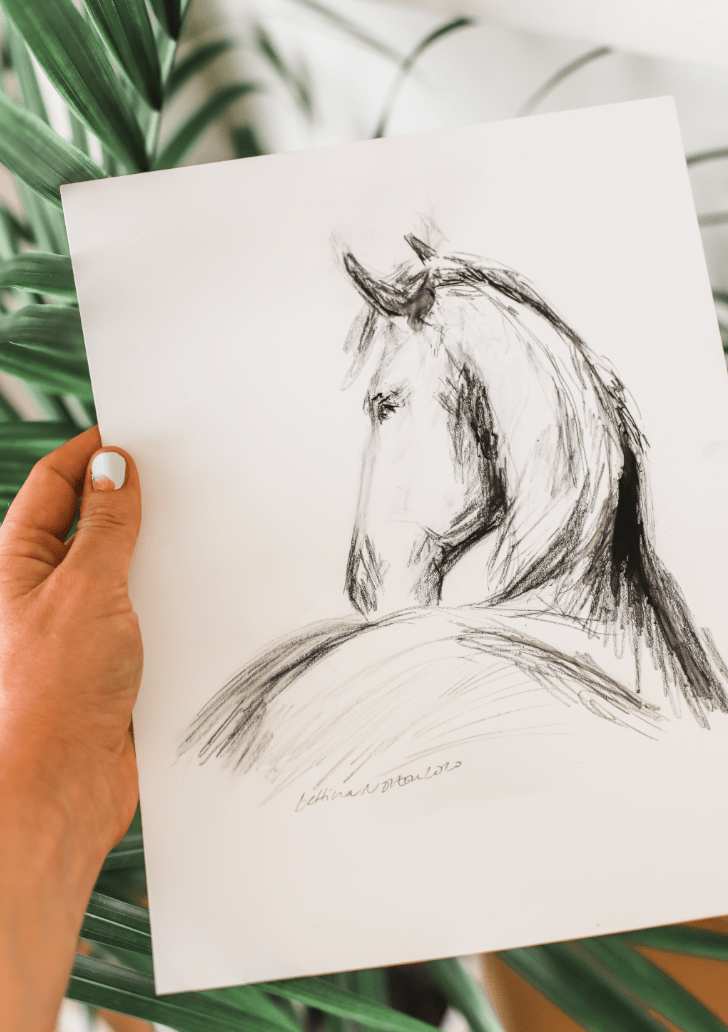 Friesian - Bettina Norton Artwork
