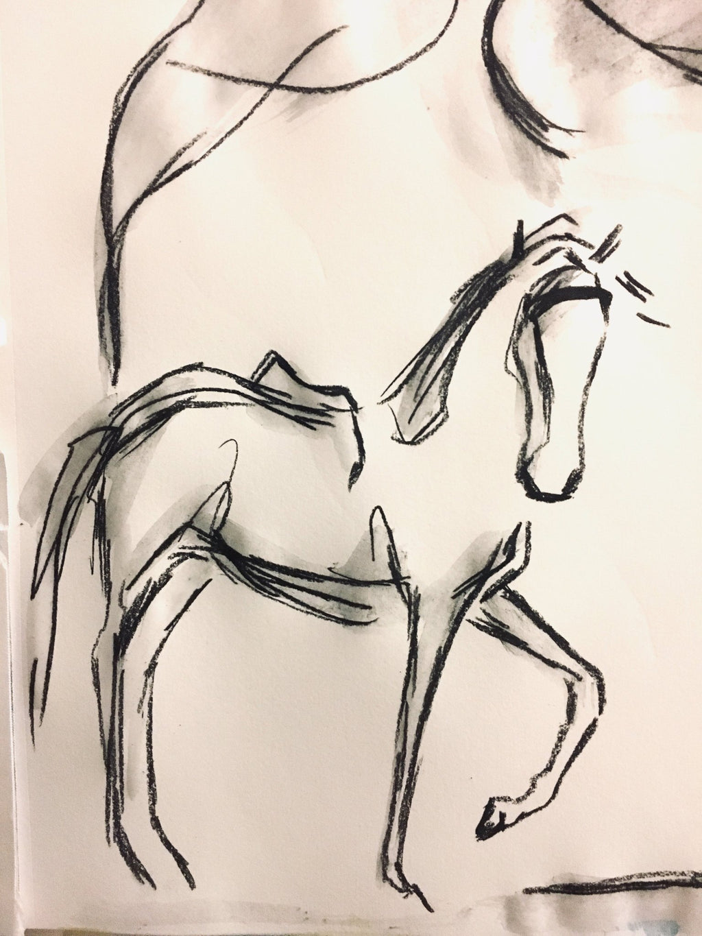 Gaited for Danielle - Bettina Norton Artwork