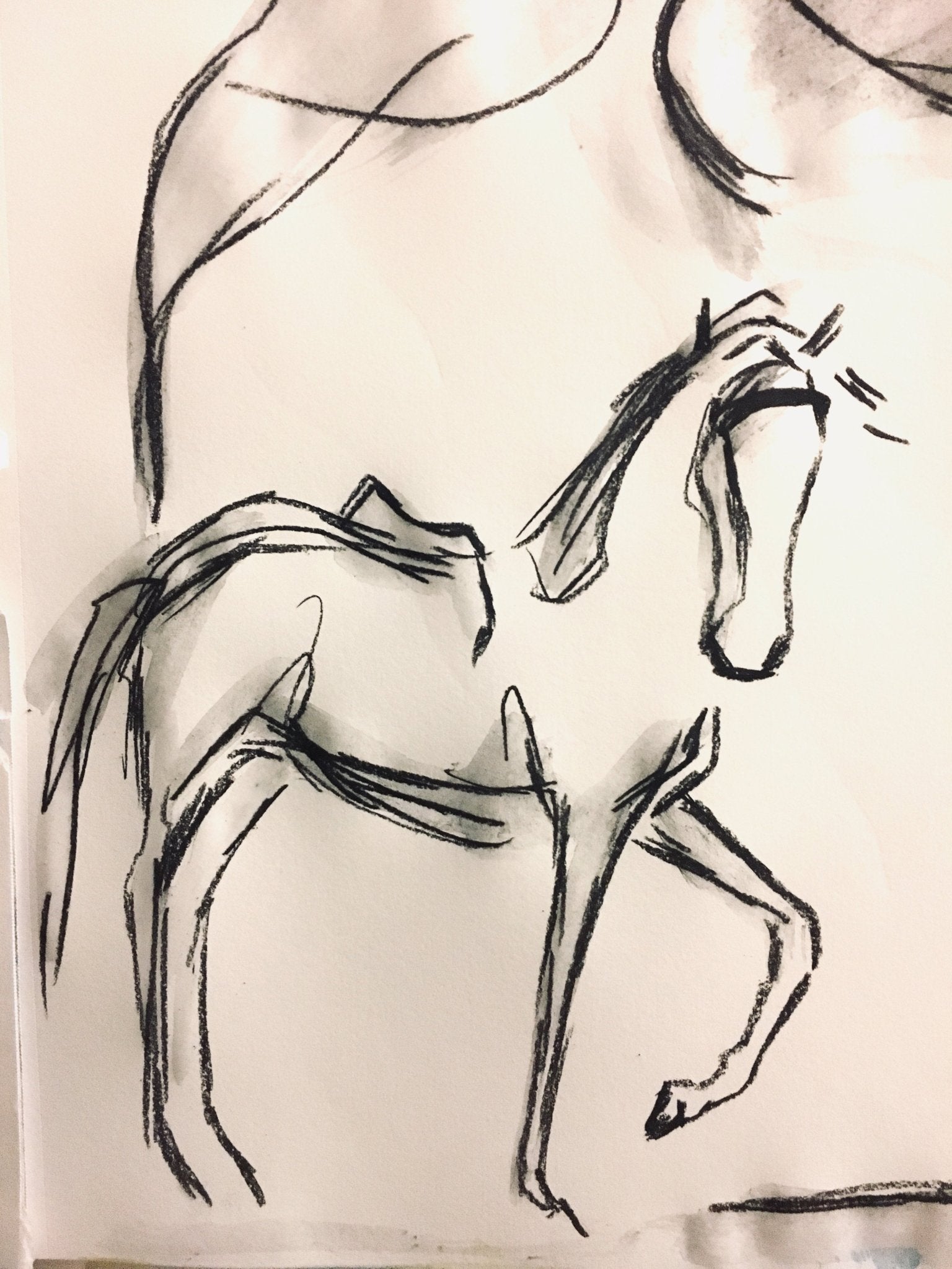 Gaited for Danielle - Bettina Norton Artwork