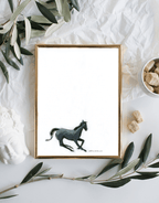 Grey Horse - Bettina Norton Artwork