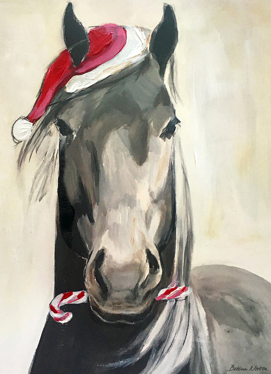 Hank Santa Pony