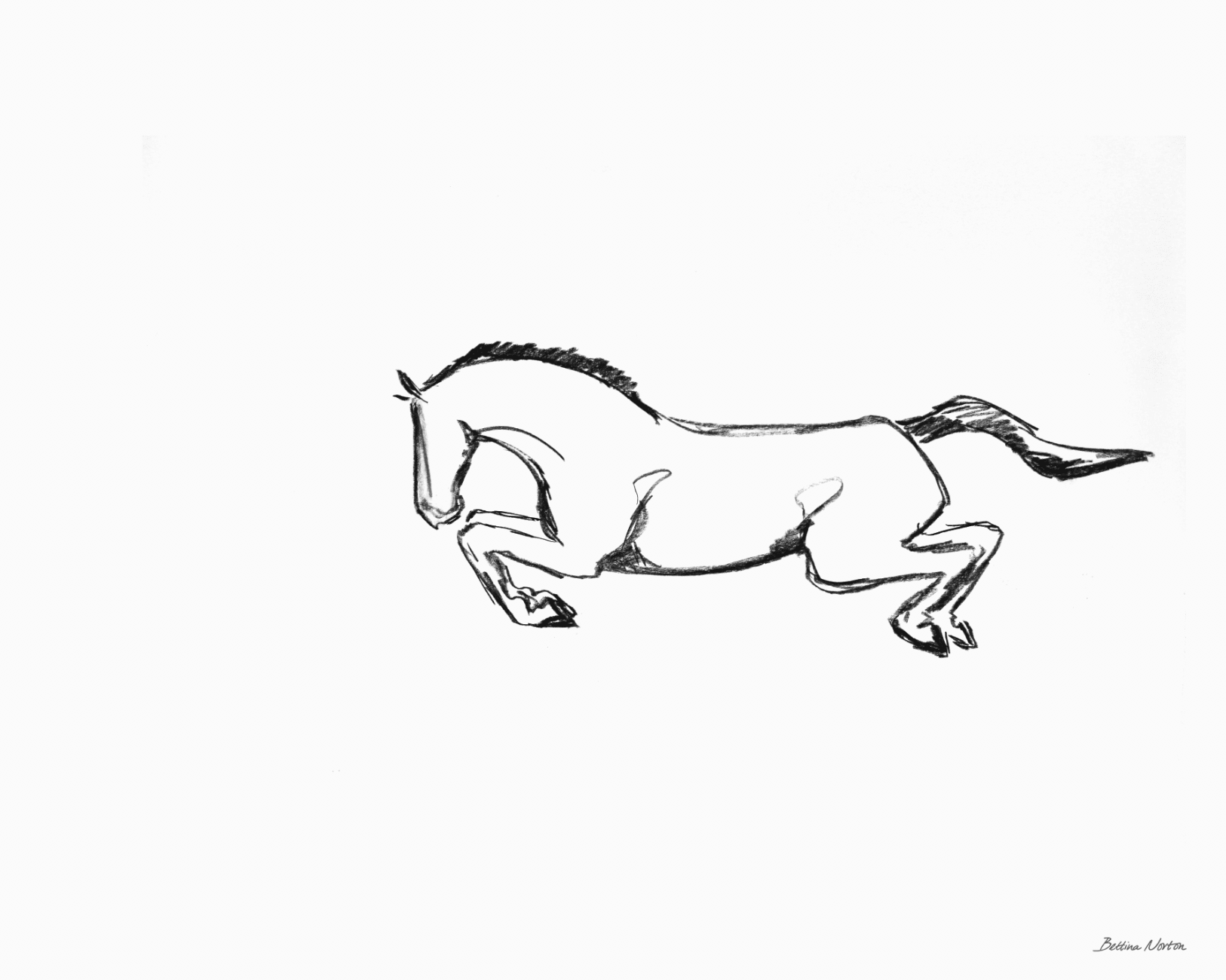 In Flight - Bettina Norton Artwork