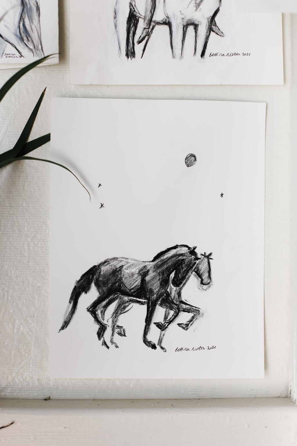 Moon Ponies - Bettina Norton Artwork