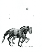 Moon Ponies - Bettina Norton Artwork