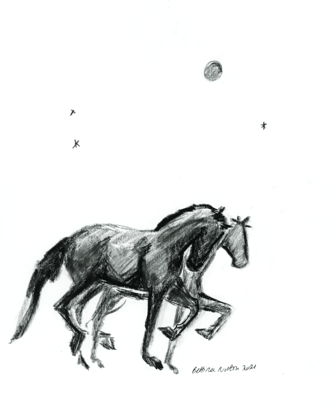 Moon Ponies - Bettina Norton Artwork