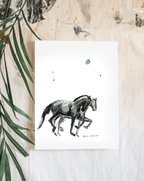 Moon Ponies - Bettina Norton Artwork