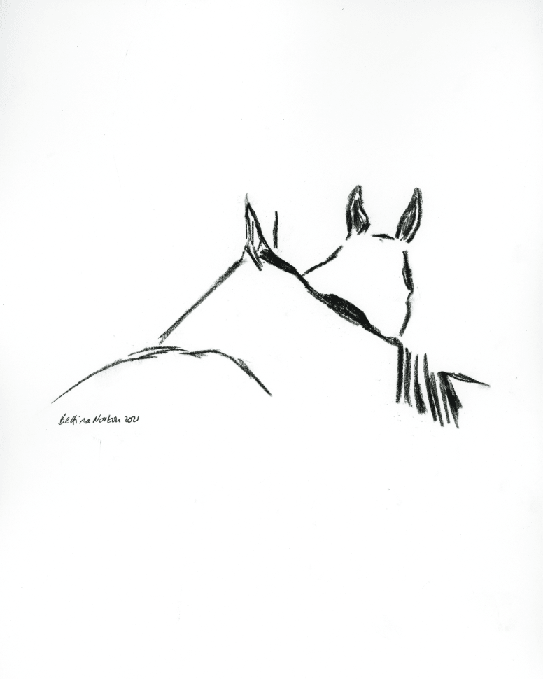 Pasture Pals - Bettina Norton Artwork