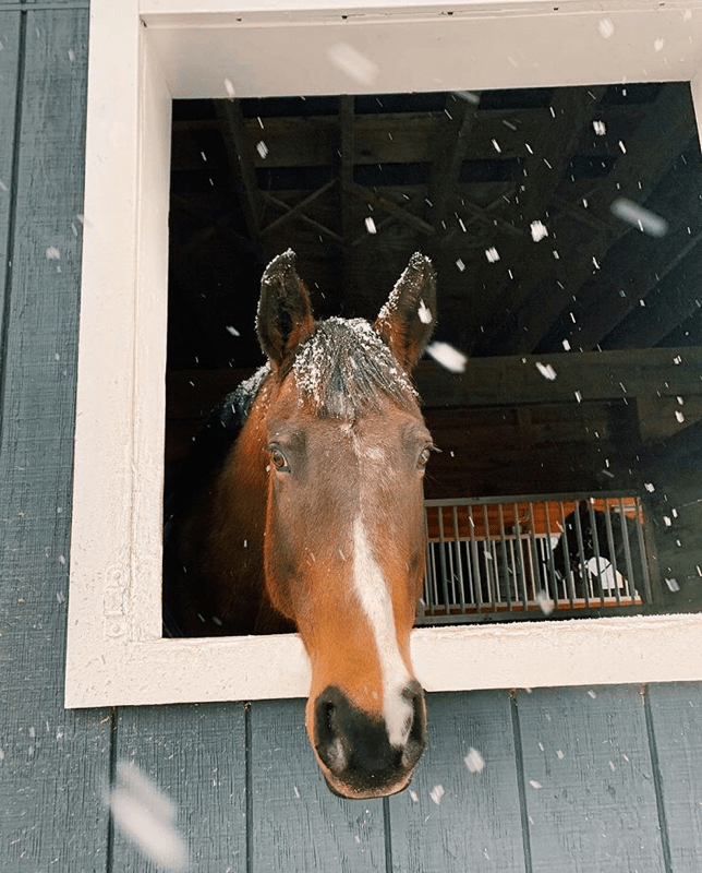 Rio in the Snow - Bettina Norton Artwork