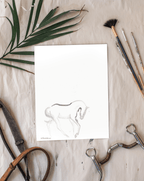 Simple Lines - Bettina Norton Artwork