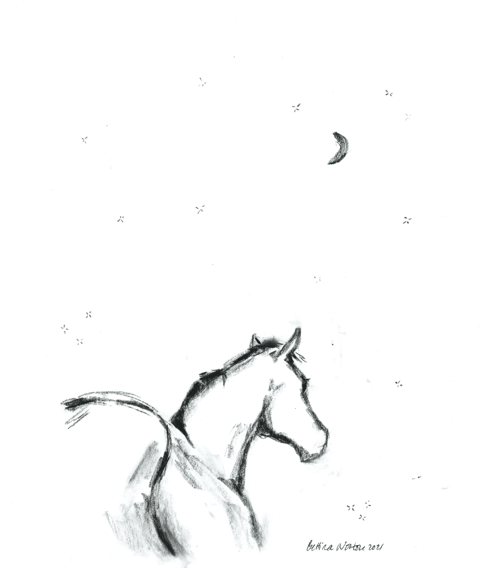 Snow Moon - Bettina Norton Artwork