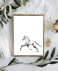 Standardbred - Bettina Norton Artwork