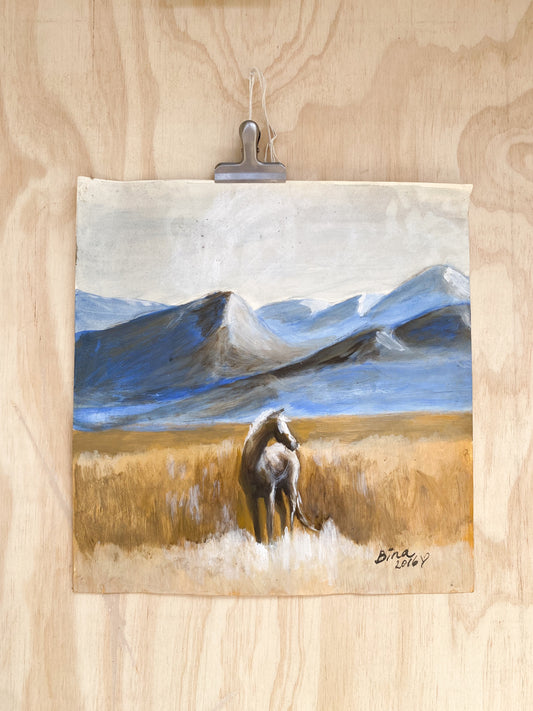 Grasslands