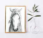 Sweet Mare - Bettina Norton Artwork