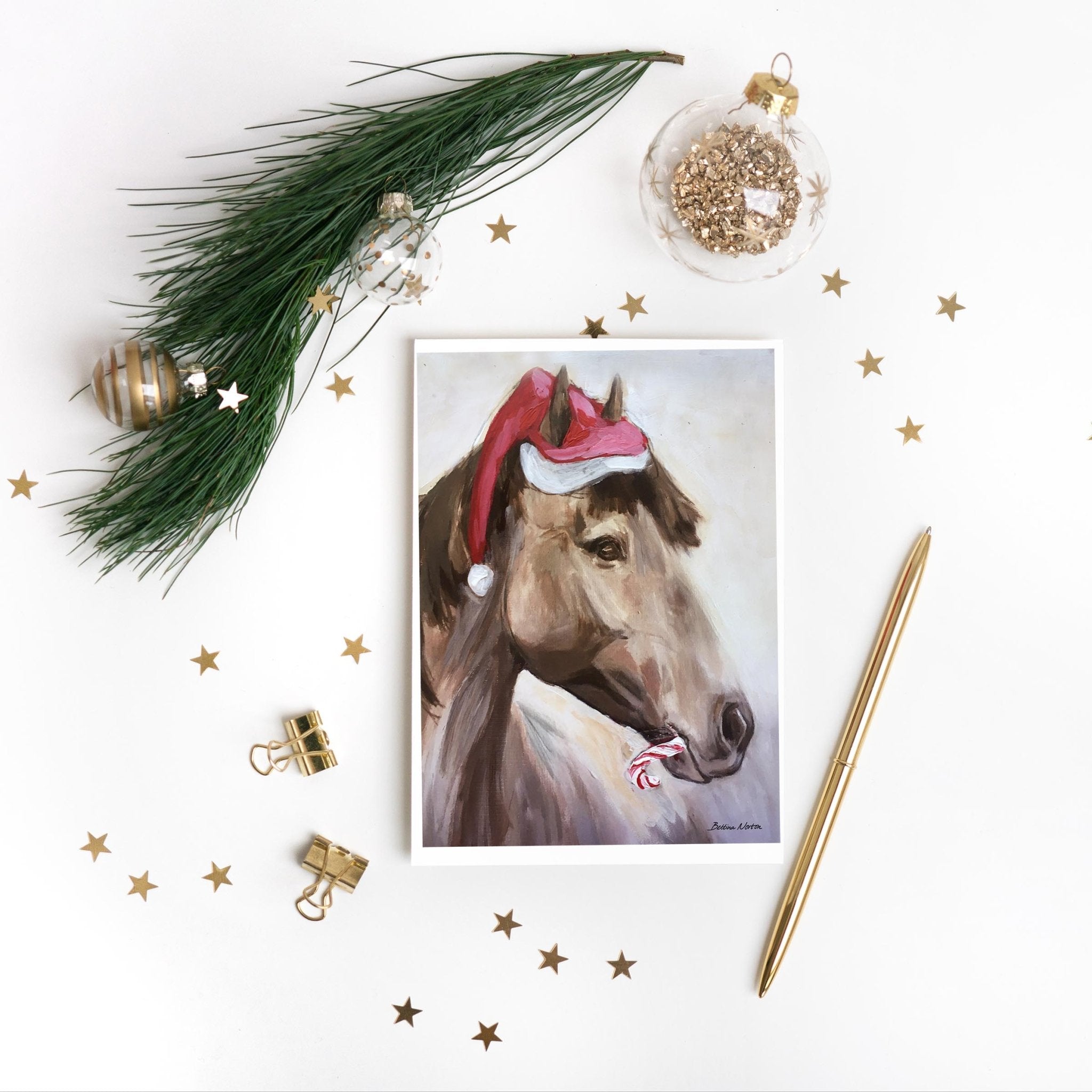 Wholesale Christmas Cards Set - Bettina Norton Artwork