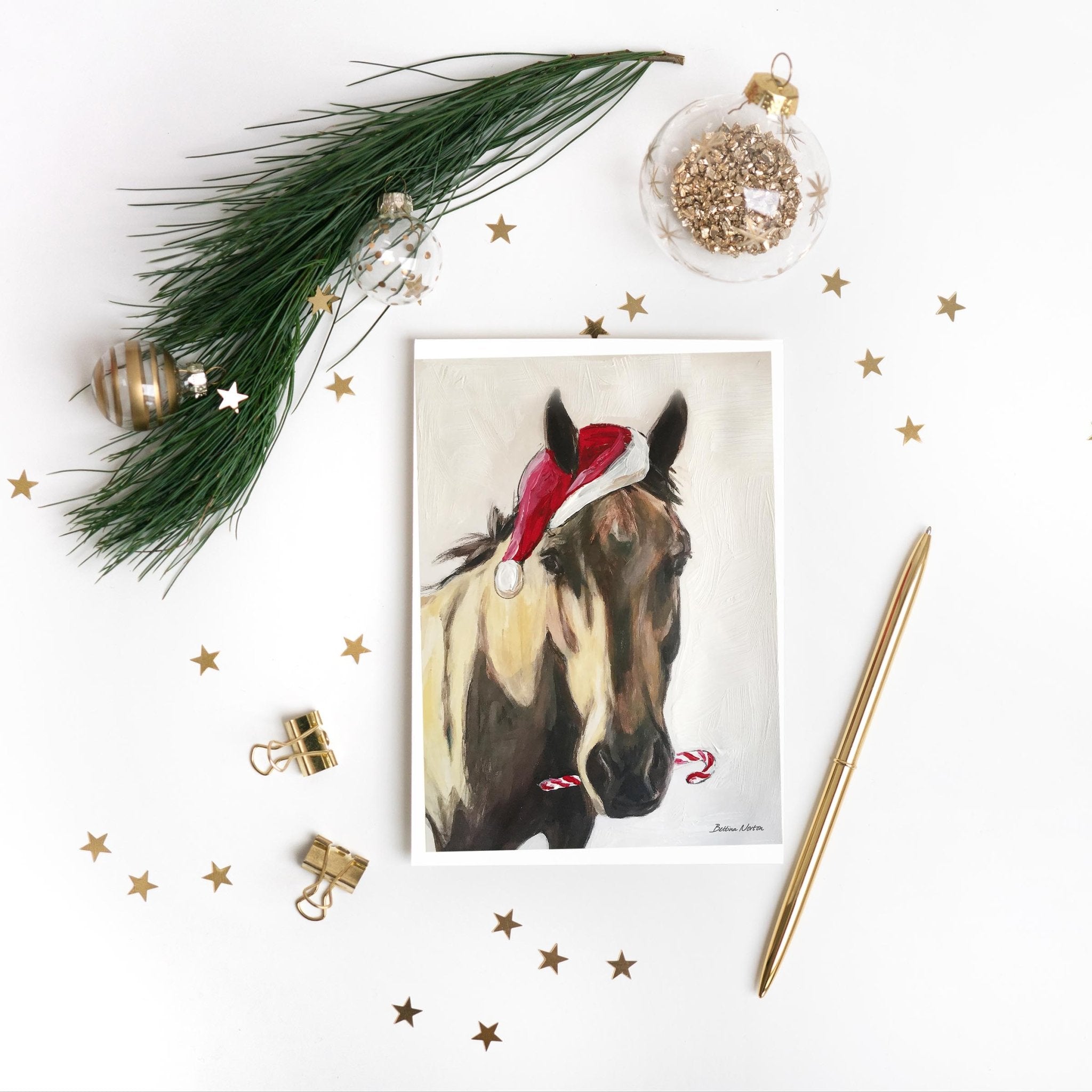 Wholesale Christmas Cards Set - Bettina Norton Artwork