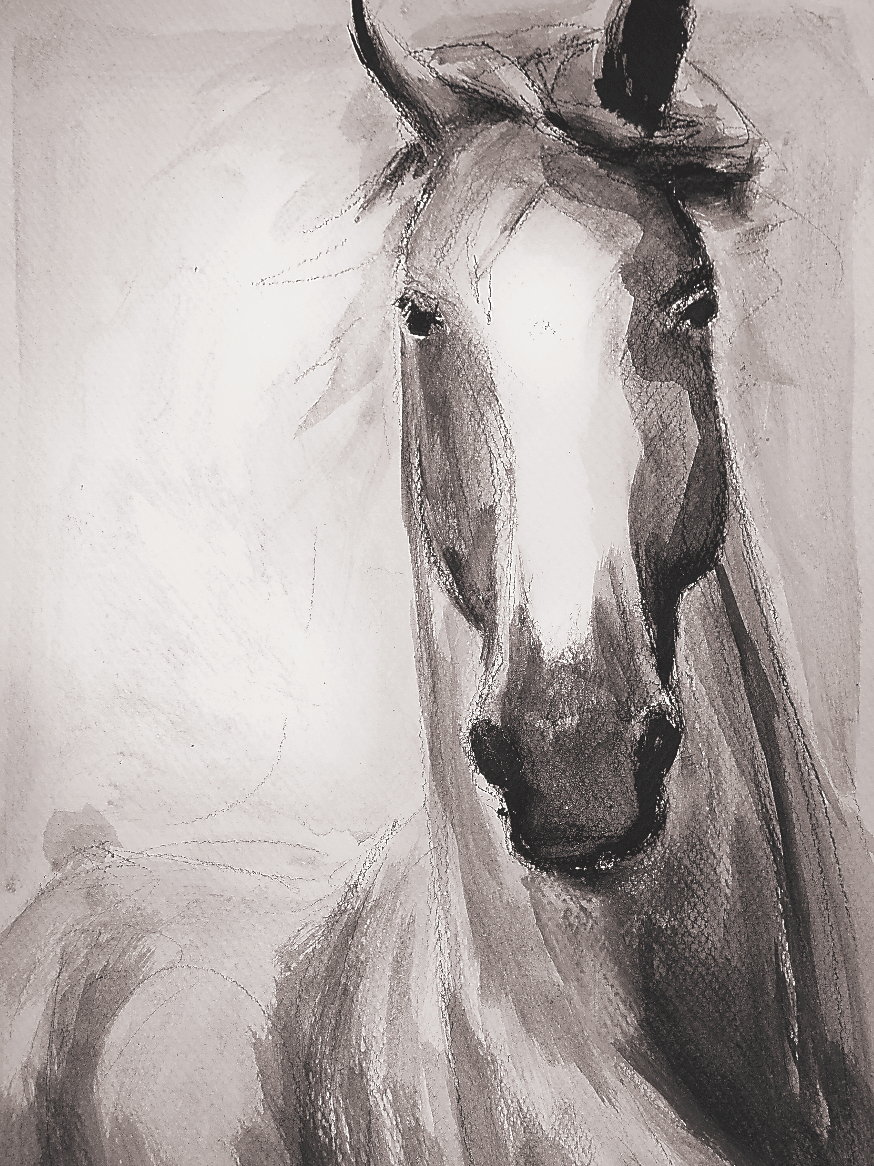 Wholesale Ready-to-Hang Canvas Prints - Bettina Norton Artwork